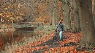 Exploring the beauty of THE HAGUE | My first days in The Netherlands!