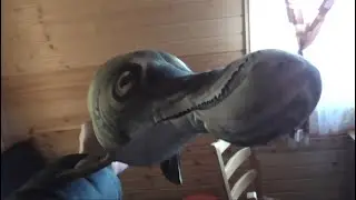 Самый быстрый визит на дачу