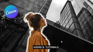 How to Add White Border to Images in Canva | Faded outline [updated]