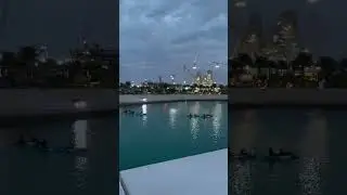Abu Dhabi Waterfront 🇦🇪 