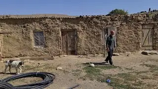 старенький чабан и его Гоюнчи