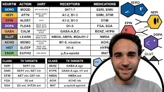 Neurotransmitter Overview