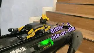 Bittle with his friend - Bittle Bionic Open Source Robot Dog for STEM & fun Petoi X TinkerGen
