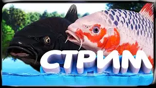 РР4 СТРИМ • Медное озеро - Обновление с карпами Кои • В поиске клёва!