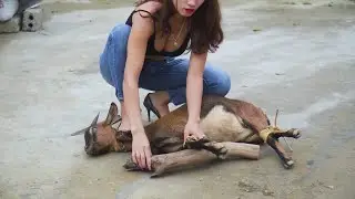 woman butcher goat/ forest vlog