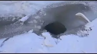 Минус один