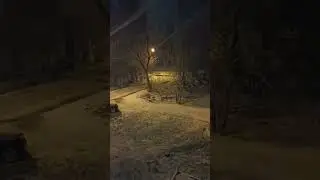 24.04.24 Зима решила вернуться!#shorts