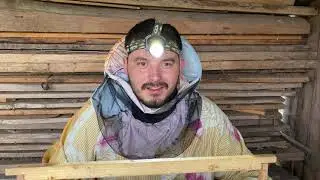Матководство для начинающих.Делаем прививку.