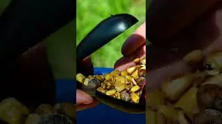 Ракета для прикормки рыбы 