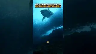 Мегалодон замечен у Антарктиды. По словам учёных он преплыл туда из Аральского моря.