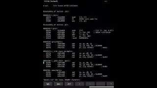 Using objdump to See Assembly Code