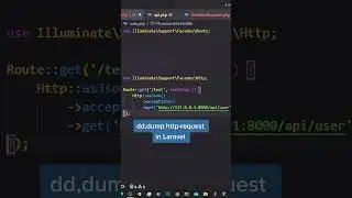 dd,dump in http-request in Laravel 