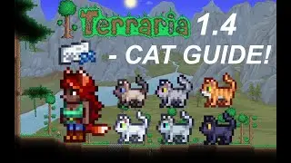 How To Get A CAT NPC in Terraria 1.4! | Zoologist, Cat, and Cat License Tutorial/Guide
