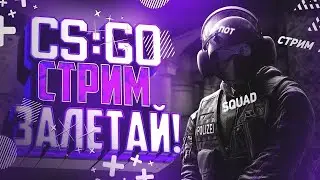 Общаемся,играем с Чатиком | КСГО СТРИМ ОНЛАЙН | Прямой эфир Live CS.GO Stream |Навальный