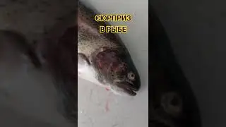 КРАСНАЯ ИКРА ПО ЦЕНЕ РЫБЫ.