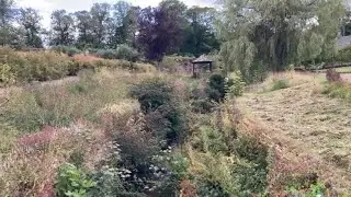 Cambo Gardens