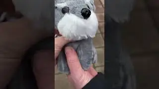Люся и команда 😍