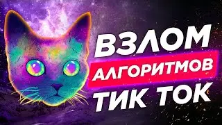 Как Набрать Подписчиков в Тик Ток 🤜 Жестко Ломаем Алгоритмы!