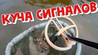 The Klyazma reservoir is a cop of gold and silver. Search 2022