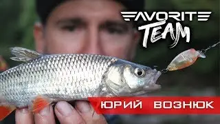 Favorite Team. Рыбалка на голавля. Лучшие голавлиные приманки для начинающих рыболовов.