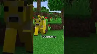 ОШИБКИ MOJANG 🤷‍♂ 