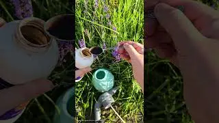 Финальная подкормка для томатов, огурцов, перца, чтобы спели и наливались быстрее #подкормка