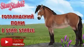 Готландский пони в Star Stable | Новая лошадь | Игра про лошадей | Gotland Pony