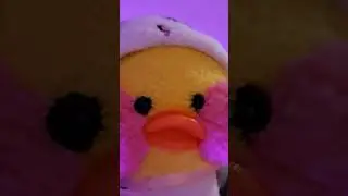 ПОМОГИТЕ ВЕРНУТЬ ЛИЛИ НА КАНАЛ! 