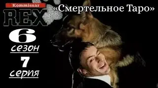 Комиссар Рекс, 6 сезон, 7 серия «Смертельное Таро»