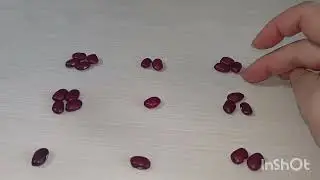 Скорпион 2024 год.Гадание.Кумалак