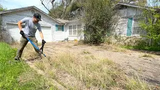 After this lady passed away, her lawn became the WORST it's been in 20 years