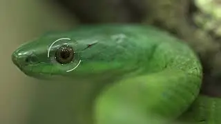 Pequeños grandes momentos - Episodio 6: 