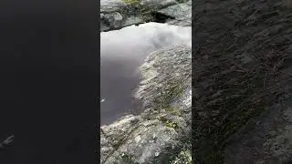 Edge of the West Coast: Rocky Cliffs in Canada 🏞️