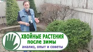Видео журнал 