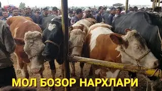 УЗБ Мол БОЗОРИ нархлари СИФАТ Шахидон