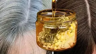 Even at 65, gray hair turns black. My grandmother's hair is the same as it was when she was