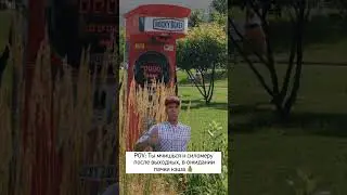 Когда понедельник не так уж и плох, если у тебя бизнес на силомере!