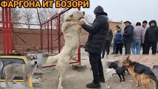 Фарғона ит бозори | Ферганский собачий рынок