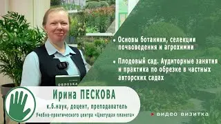 .Видео-визитка 
