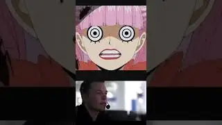 100 iq move.                                    #elonmusk #usopp #meme