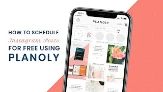 Planoly Tutorial: How to Schedule Instagram Posts for Free