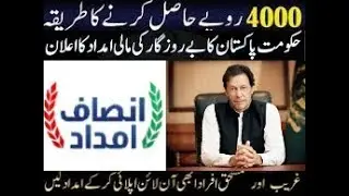 Insaf Imdad Program | How To Register Insaf Imdad | Insaf Imdad Registration | C M Punjab Rozgr 2020