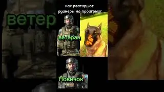 Как руинеры реагируют на проигрыш: #warface #2024