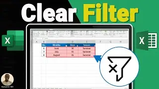 How to Clear or Remove Filter in Excel Sheet - Full Guide