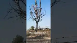 Когда-то здесь была 