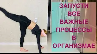 Сделай Это Упражнение с Утра и Запусти Процесс Жиросжигания и Омоложение всего Организма!