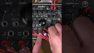 Queen of Pentacles Review Short #modularsynth #electronicmusic #synthesizer