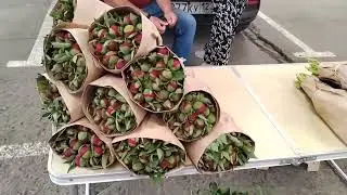 Цветочный рынок Краснодар срезочные цветы 20 апреля 2024 г