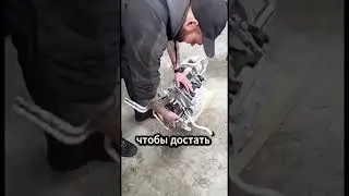 😧МЕХАНИКИ НЕНАВИДЯТ НЕМЕЦКИЕ АВТО!