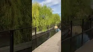 Из Венеции в каменный город 